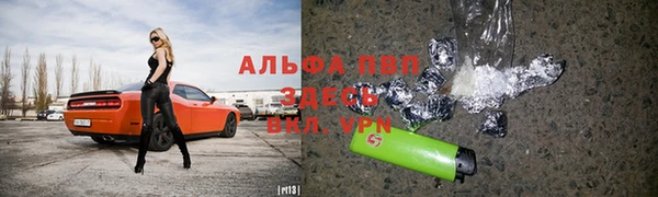 соль ск Няндома