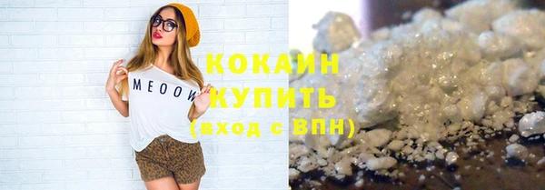 соль ск Няндома