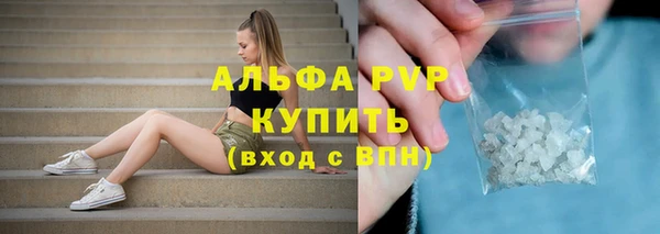 соль ск Няндома