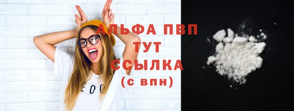 индика Новокубанск