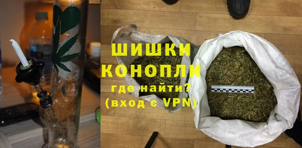 индика Новокубанск