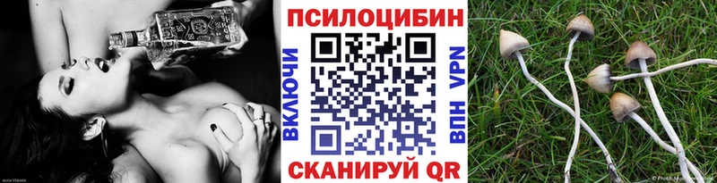 даркнет сайт  Калач  kraken tor  Псилоцибиновые грибы Magic Shrooms 