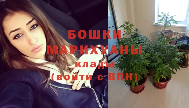 сколько стоит  Калач  Бошки Шишки THC 21% 